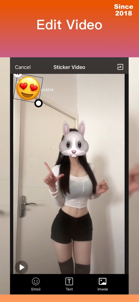 iRetouch - Photo Video Eraser - Users can enhance videos with creative overlays, utilizing diverse 'Emoji' stickers and customizable 'Text' options.