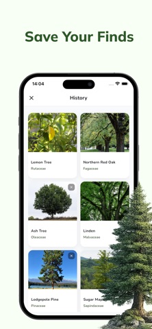 Tree Identifier: Plant & Leaf Screenshot 4 of 4