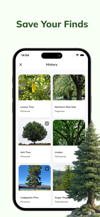 Tree Identifier: Plant & Leaf Screenshot 4 of 4