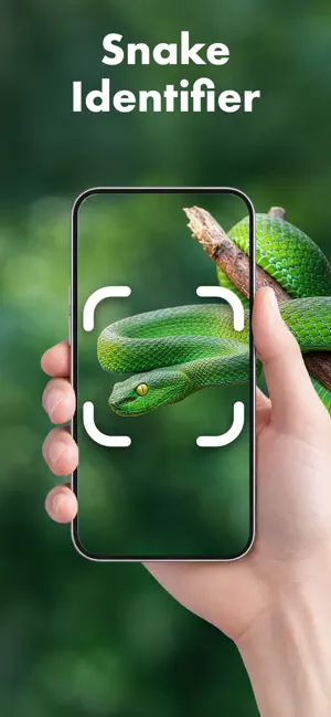 Snake Identifier | Venom Scan screenshot 1