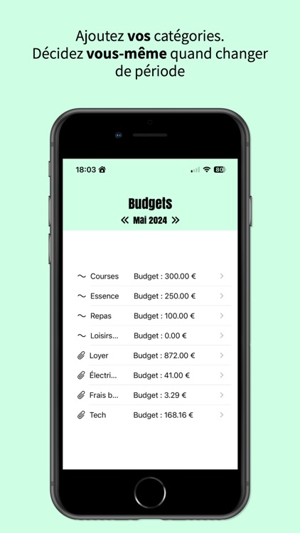 Jasper. Budget simplifié