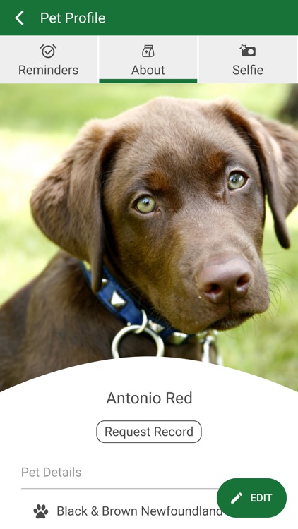 Pennridge Animal Hospital