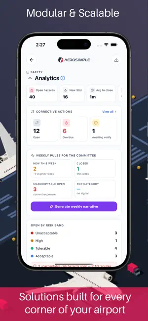 Aerosimple Next screenshot 4