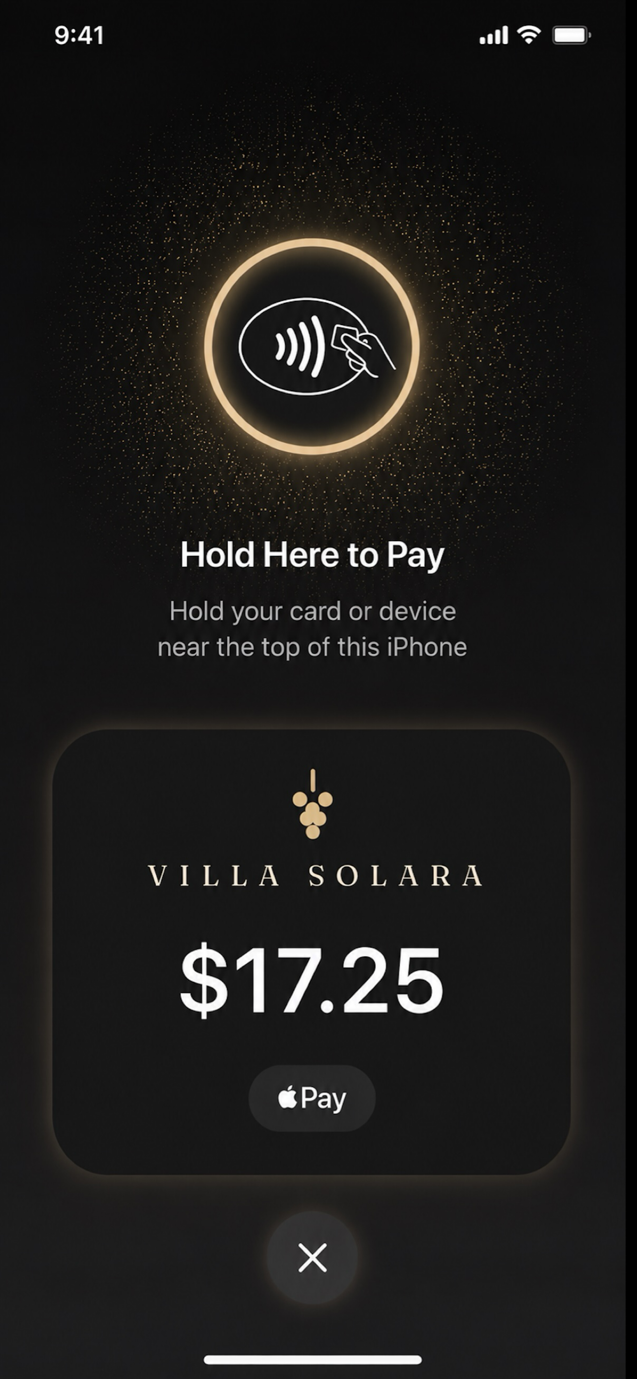 Vintiga Point of Sale screenshot 6