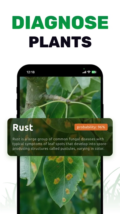 Plant ID: Nature Identifier AI Screenshot