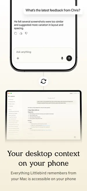 Littlebird AI screenshot 3
