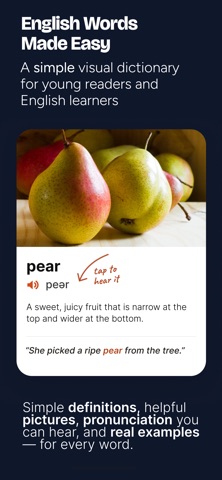Geek Dictionary: Bilingual ESL Screenshot 1 of 8