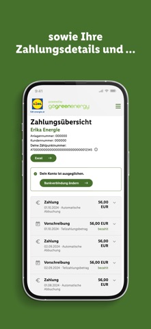 Lidl Energie screenshot