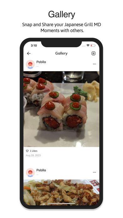 Japanese Grill MD Screenshot