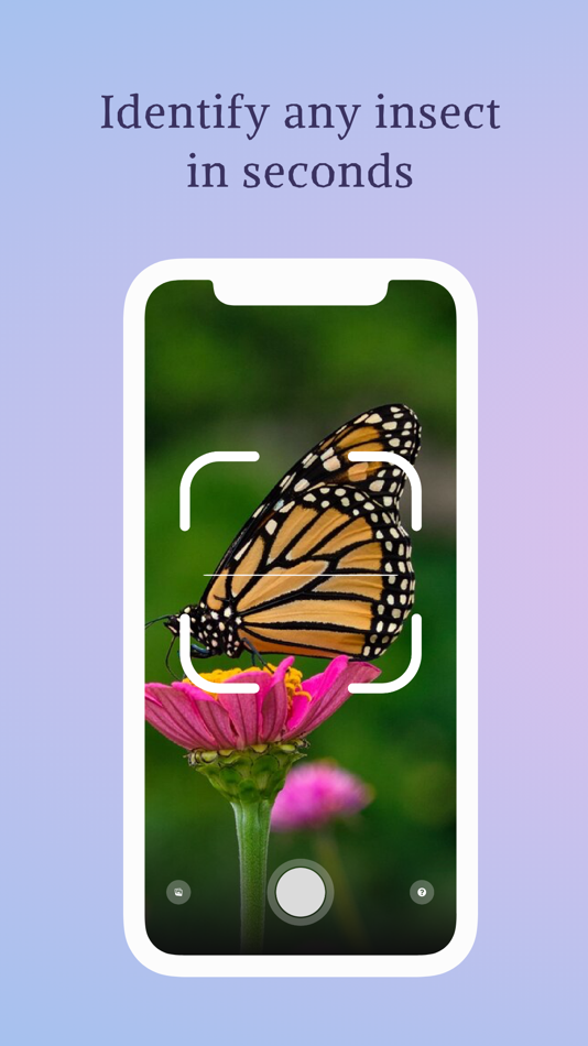 #1. InsectID Identify Bugs&Spiders (iOS) 由: Younes Oubari