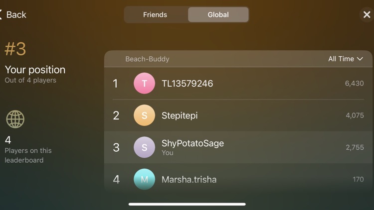 Beach Buddy: Clean It Up!