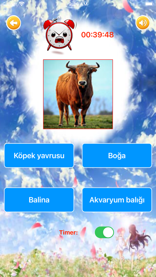 #8. Learn Turkish Beginner Primary (iOS) Podle: Duc Tang Van