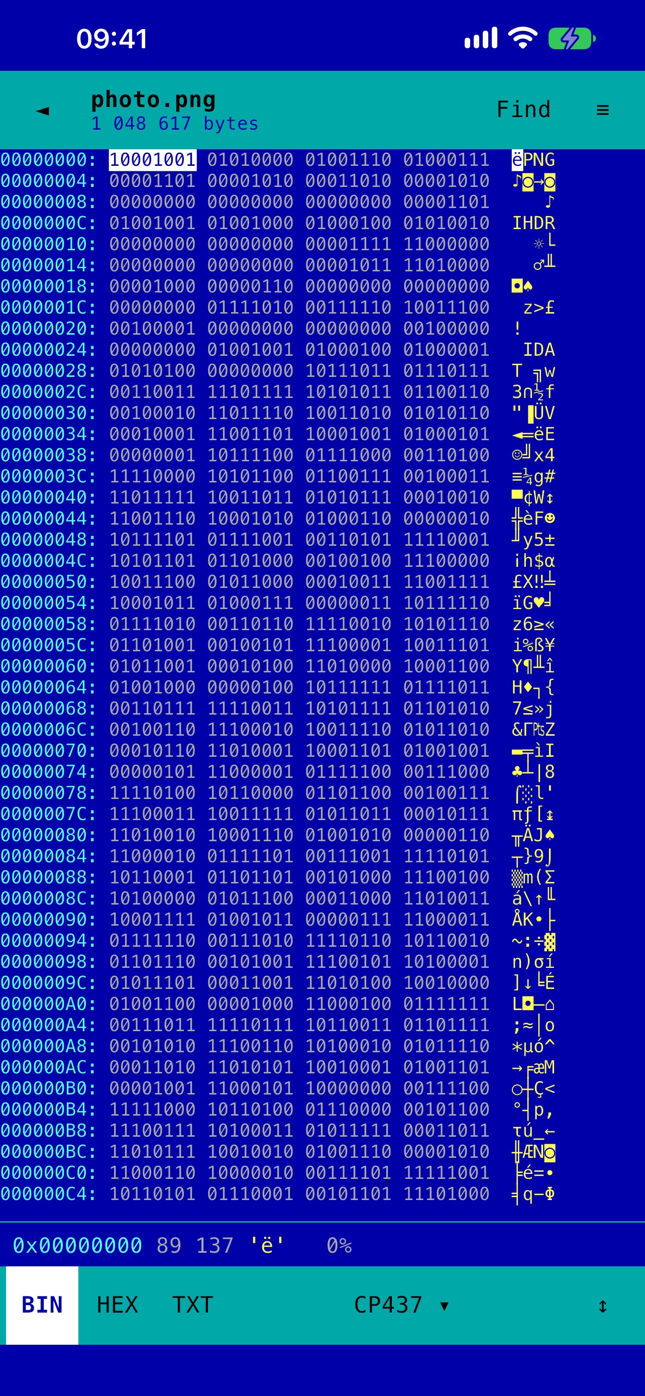 Screenshot 2 of Dos View: Hex & Text Viewer