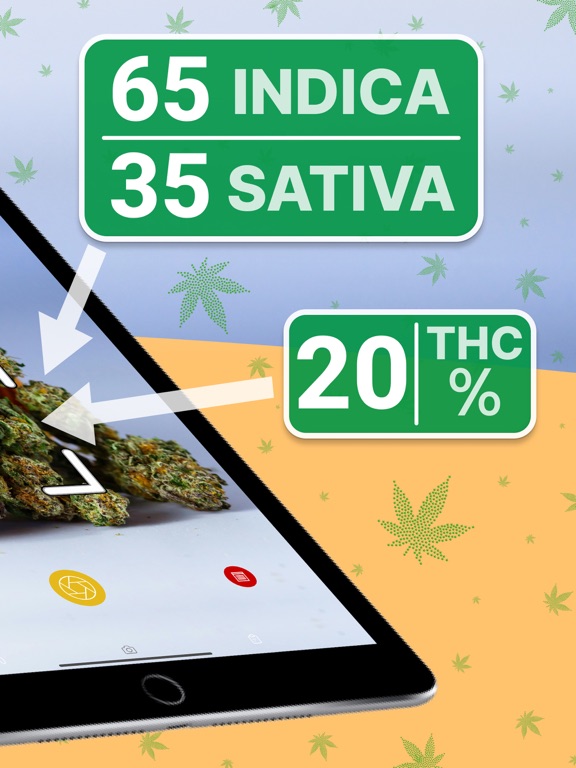 Screenshot #5 pour THC Weed Identifier: Kush Scan