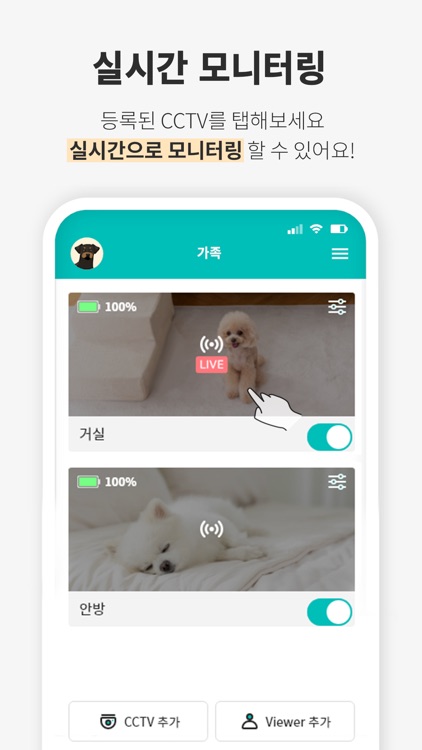 HelloCOCO - Pet CCTV, Pet Cam screenshot-3