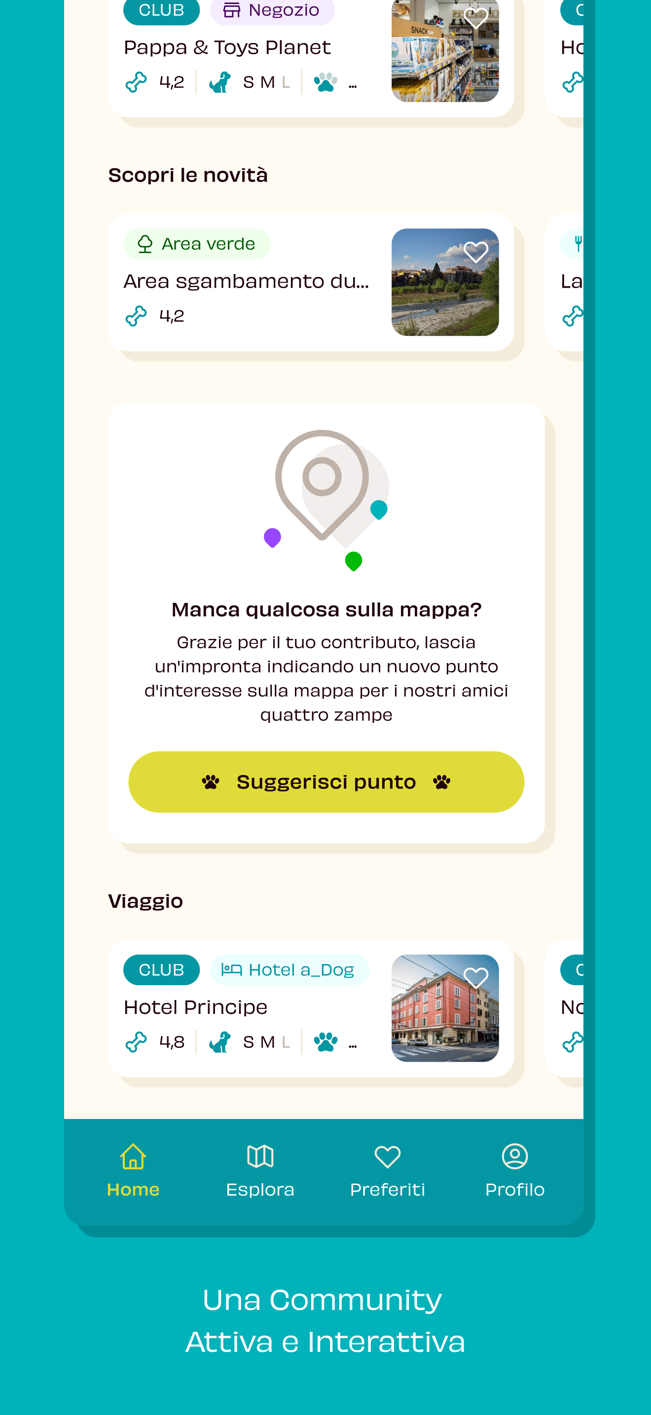 Nomadog® Viaggiare con il cane