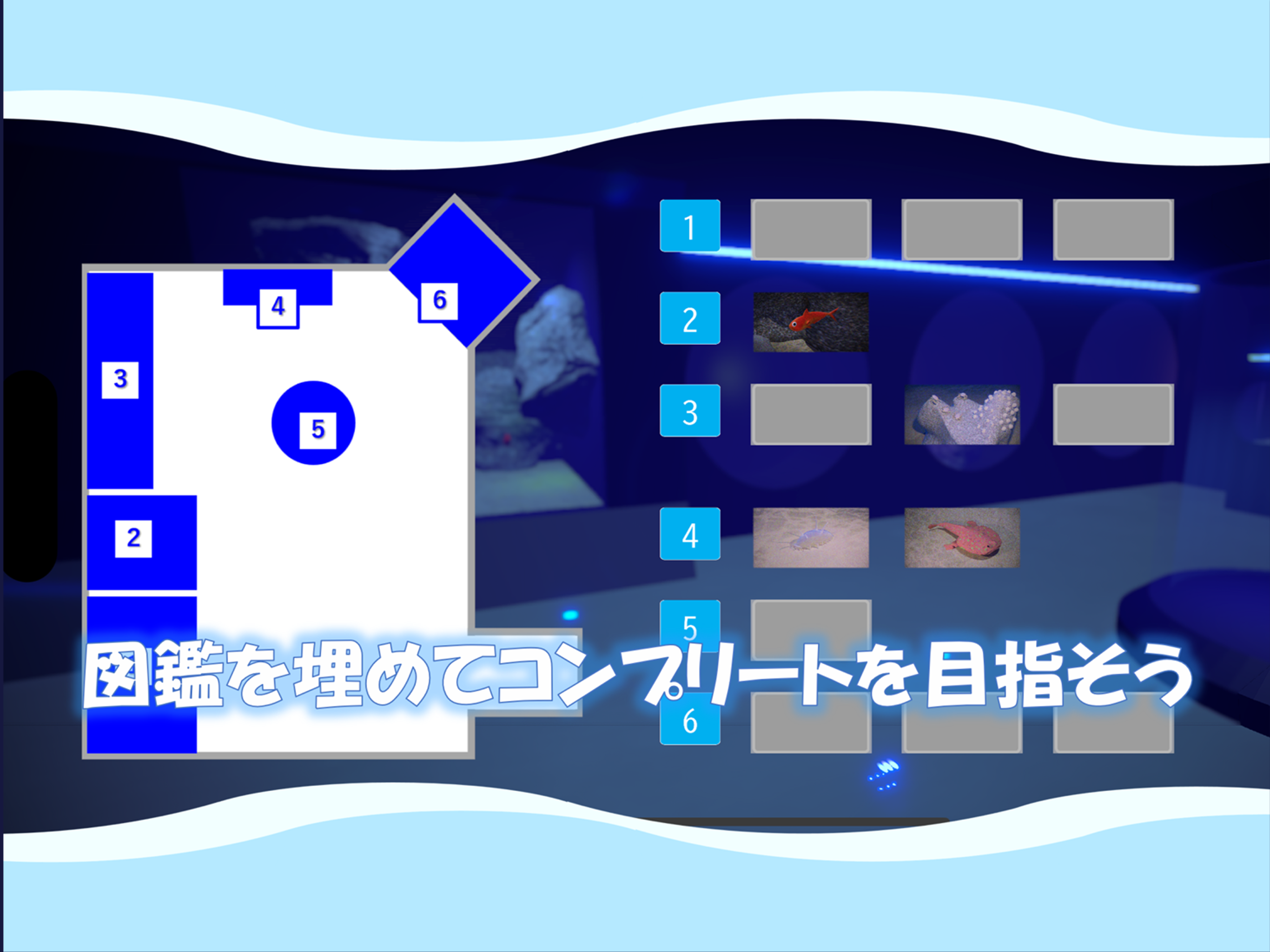 深海アルバム