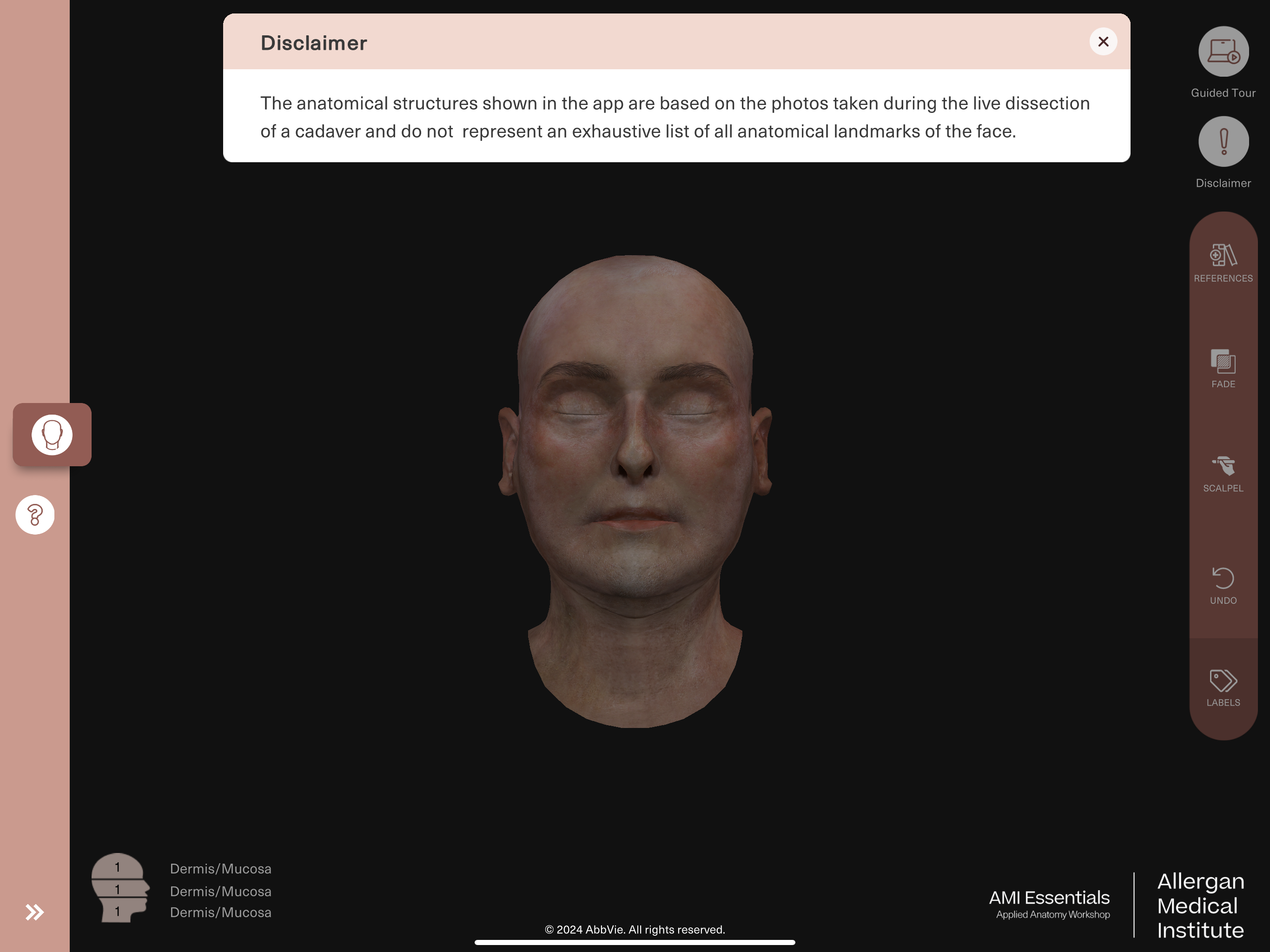 AMI Essentials: 3D Anatomy TH screenshot 13