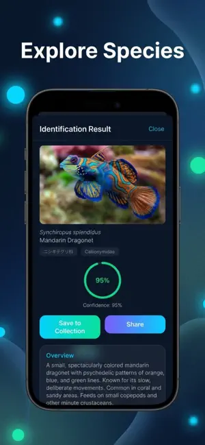 AquaScan: AI Fish Identifier screenshot 2