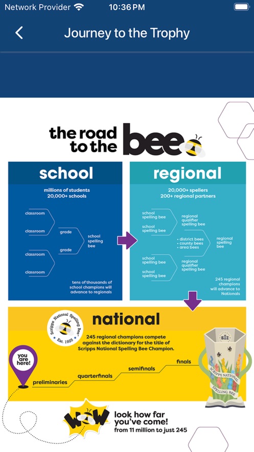 Bee Week