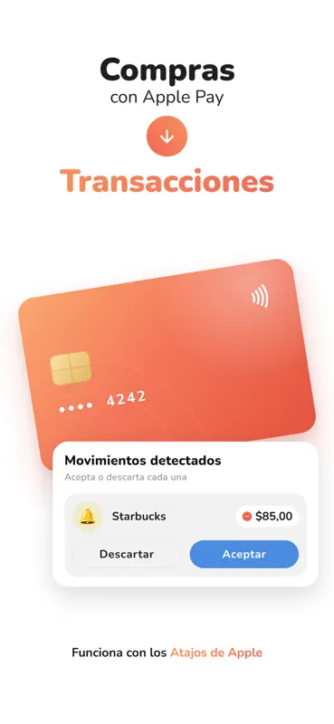 DebAi: Control de gastos screenshot 9 of 9