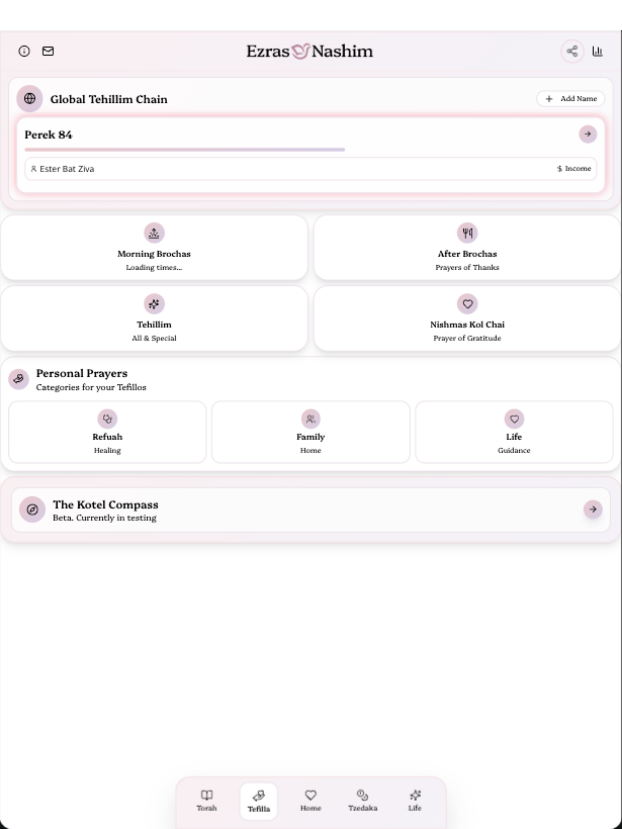 Ezras Nashim screenshot 8