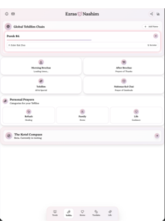 Ezras Nashim screenshot 8