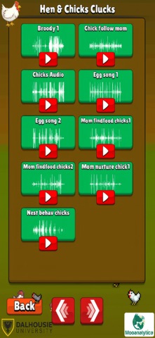 Cluckify screenshot