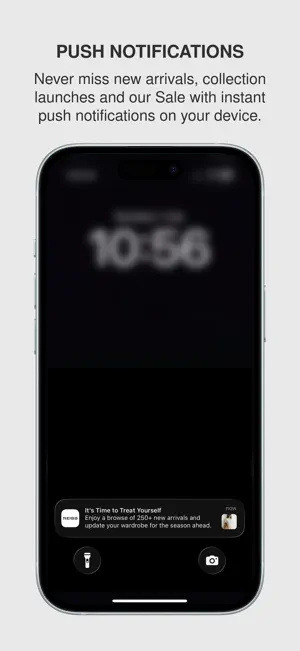 REISS screenshot 3