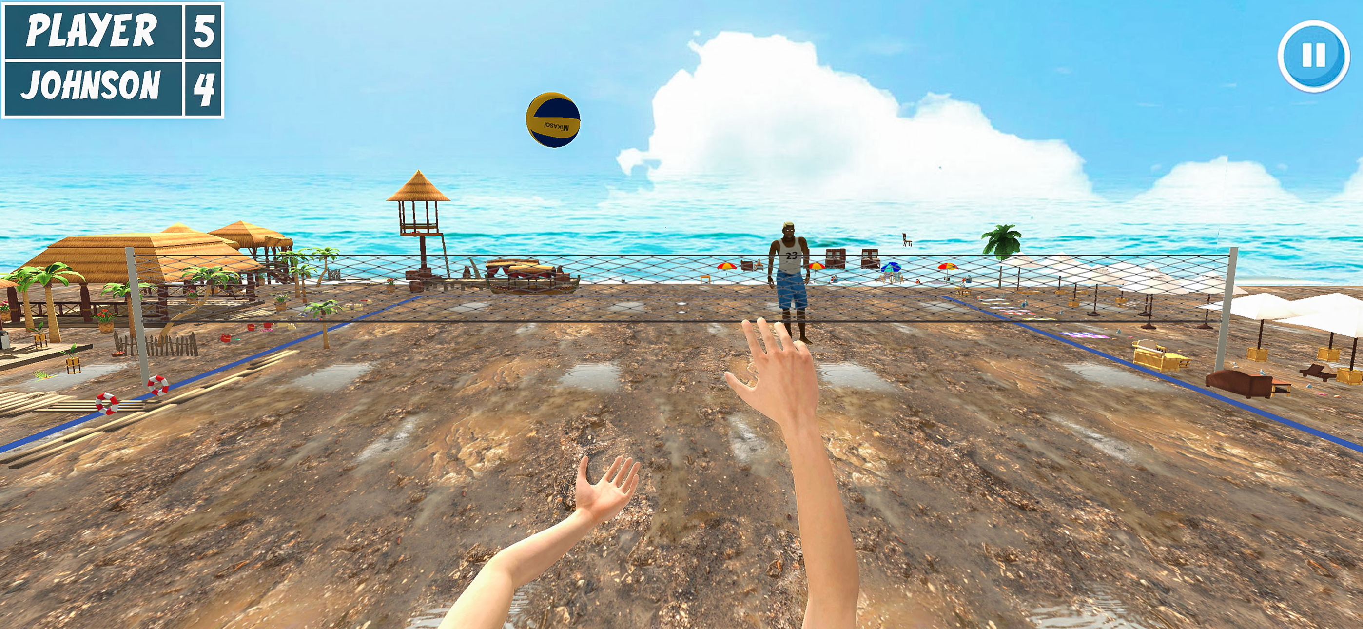 Volleyball Championship Court