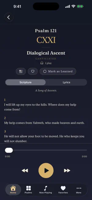 Psalm Song screenshot 4