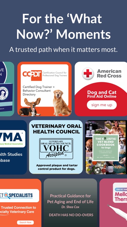 PupWise: Know what to do