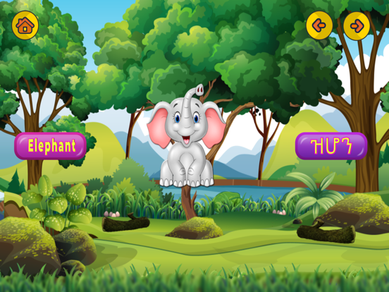 Screenshot #6 pour Lijoch - Learn Amharic & More