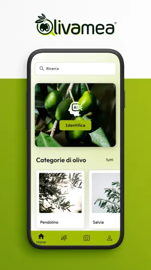 Oliva mea screenshot 1