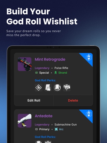 Destiny God Roll Hunter iPad screenshot