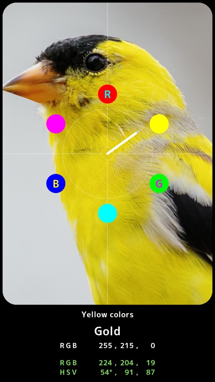 Color Info Cam