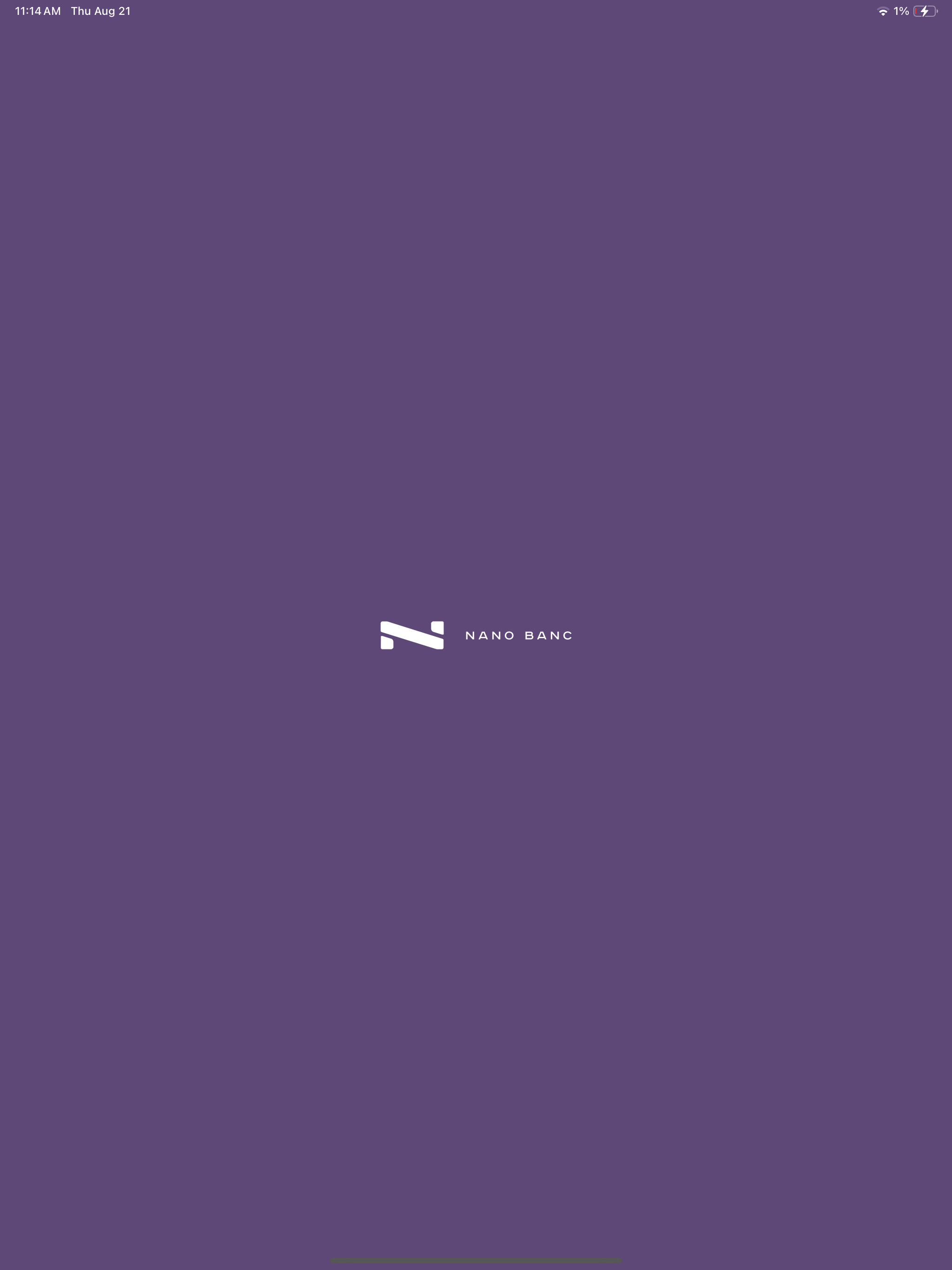 Nano Personal Mobile