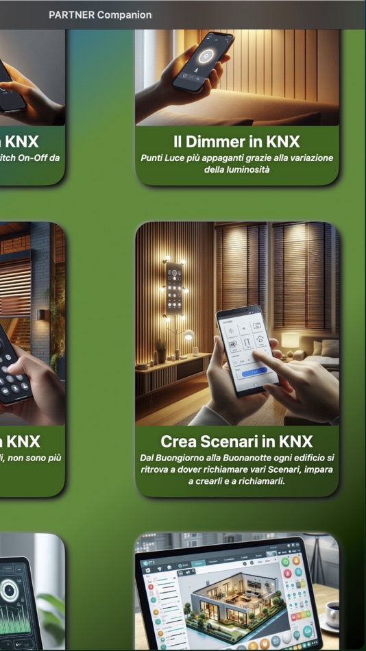 #4. PARTNER Companion (macOS) 来自: Davide Grandeppieno