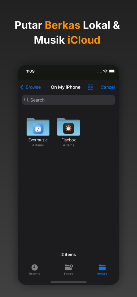 Flacbox: Pemutar Musik Hi-Res screenshot 9