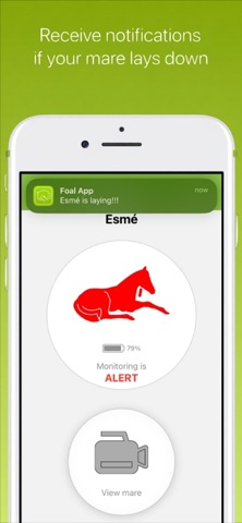 FoalApp Receiver iPhone screenshot