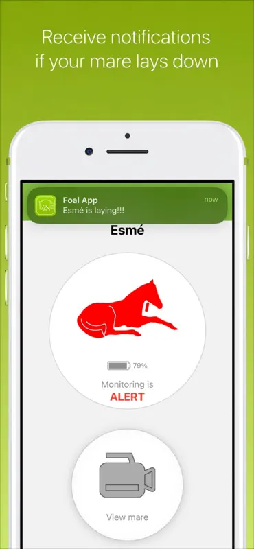 FoalApp Receiver screenshot 4 of 4