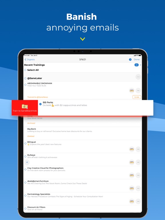 SaneBox: AI Email Cleaner iPad screenshot 5 - Productivity app