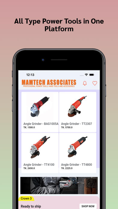 Mamtech Associates Screenshot