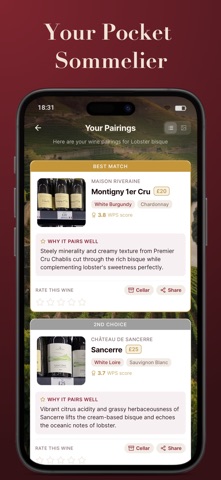 Wine Scout: Pairing & Cellar Screenshot 6 of 6