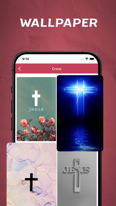 Albanian Bible - offline Screenshot