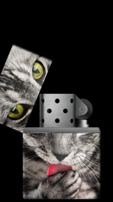 Lighter Simulator Concert Mode screenshot