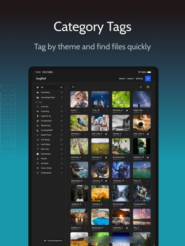 ImgRef iPad screenshot 2