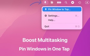 Pin Window: Rectangle Pro screenshot