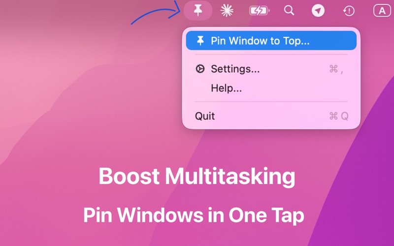 Pin Window: Rectangle Pro screenshot 2