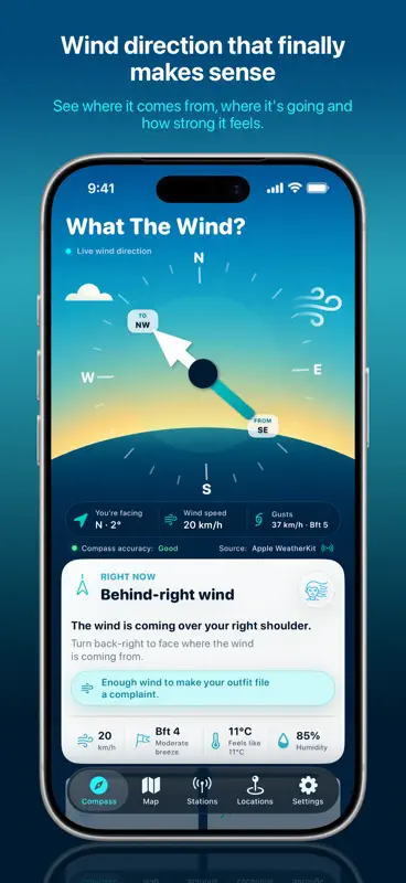 What The Wind? screenshot 2 of 10